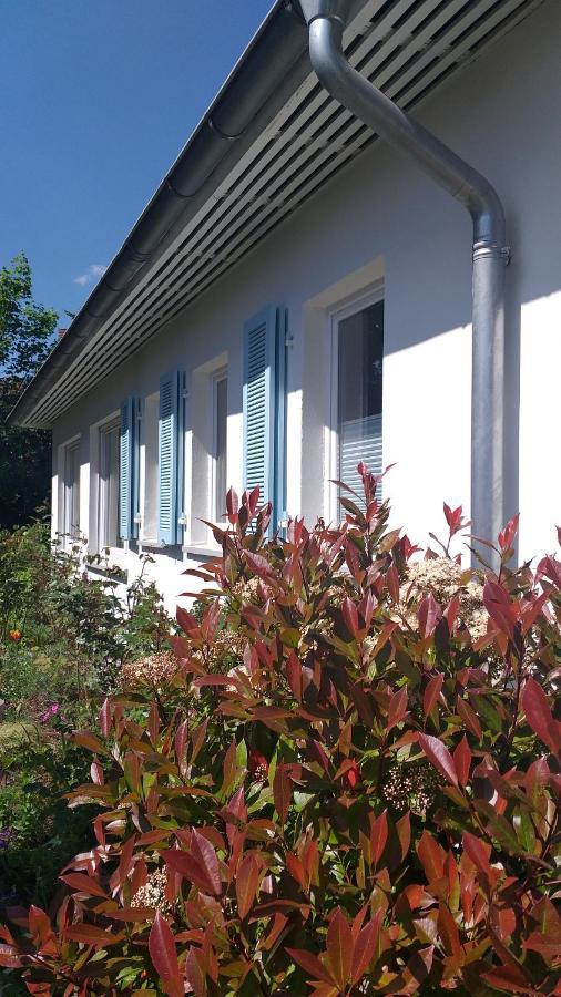 Gartenchalet Rotkehlchen Bad Homburg vor der Hohe Bagian luar foto